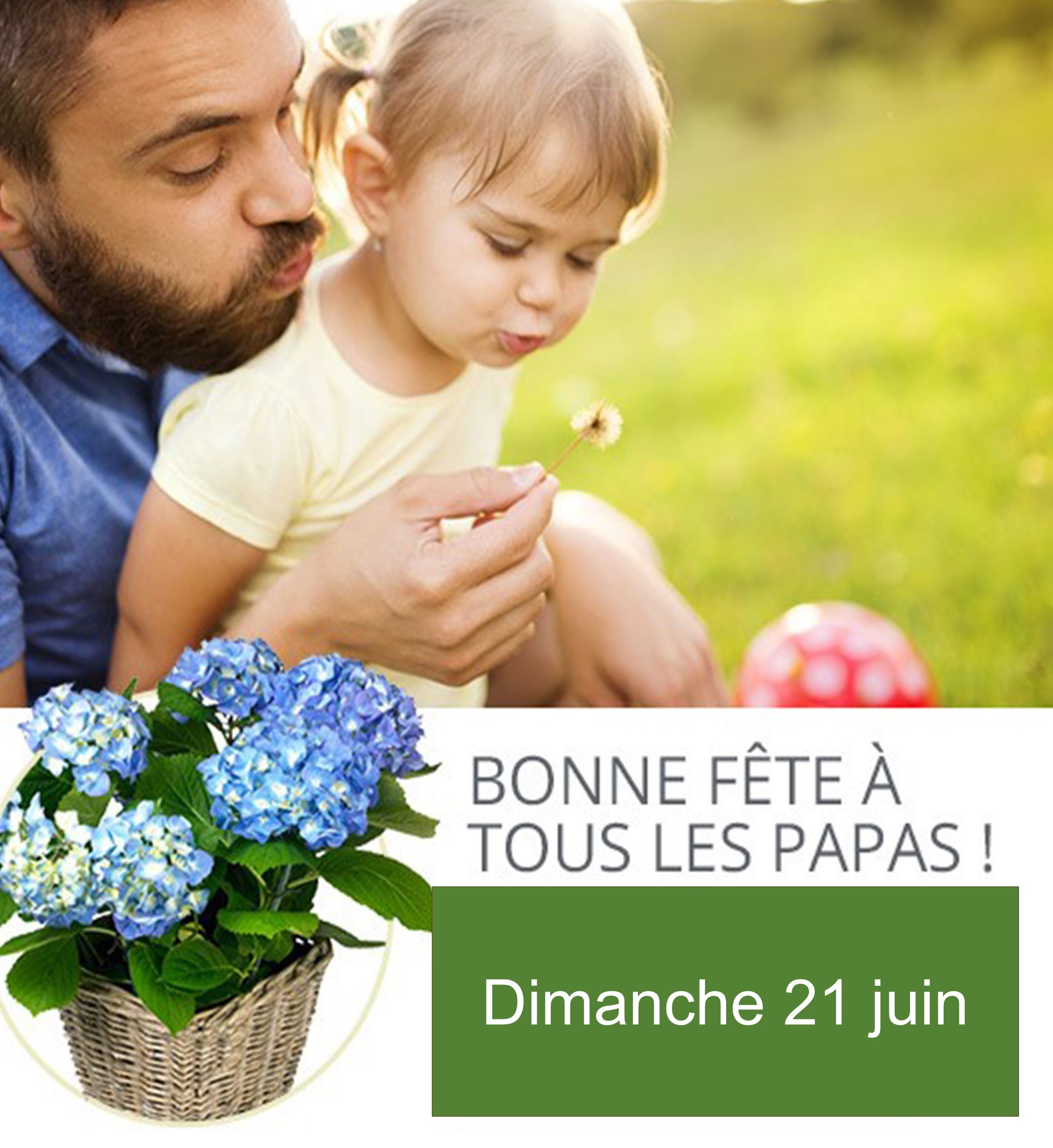 FETE DES PERES HIBISCUS FLEURS NANTES